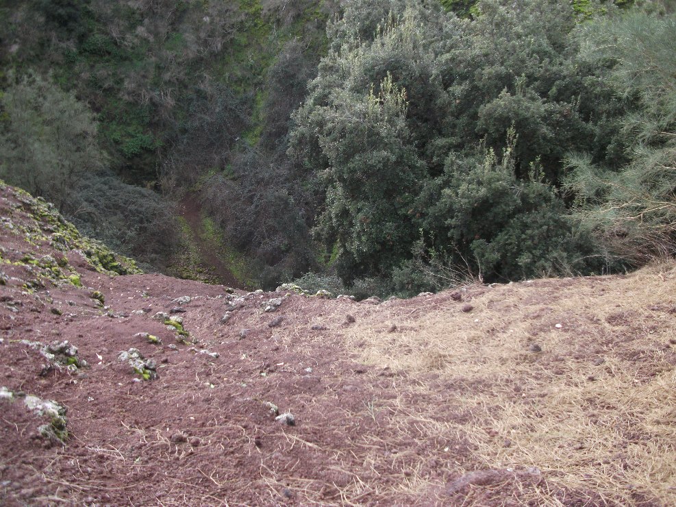 otta delle Palombe Nicolosi-20100117 051